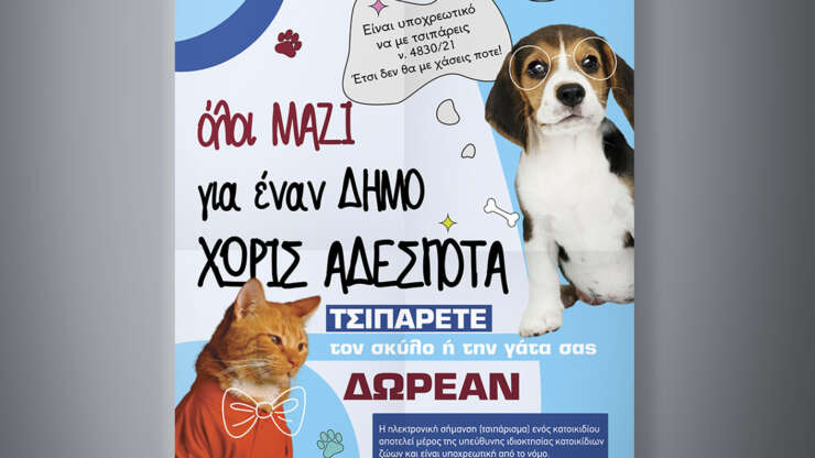 Αφίσα Αδέσποτα | Δήμος Αρταίων